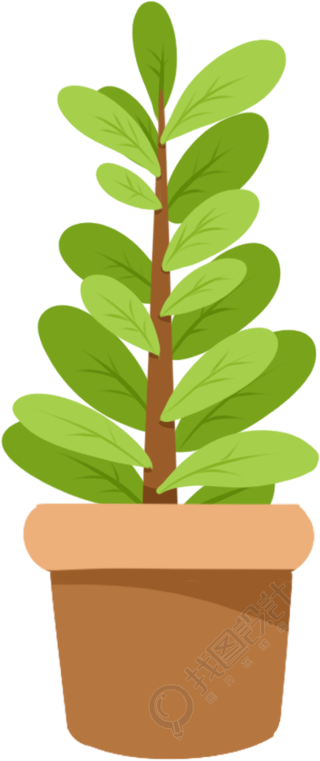 植物4