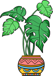 大叶子植物
