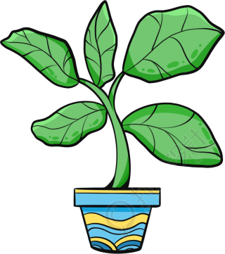 大叶子植物2