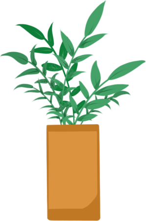 植物