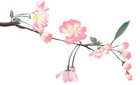 花枝