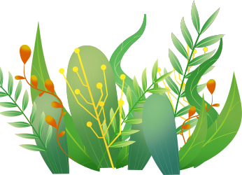 湿地植物