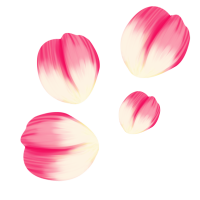 花瓣