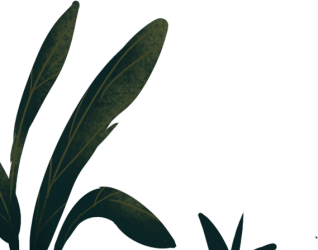 小草