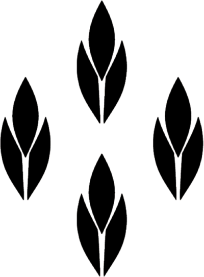 手绘创意不规则形状几何