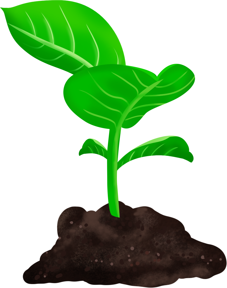 植树节茁壮成长的树苗