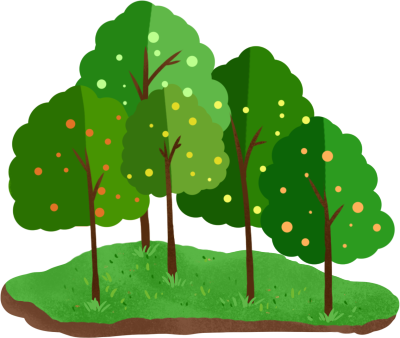 春天长满绿叶的树