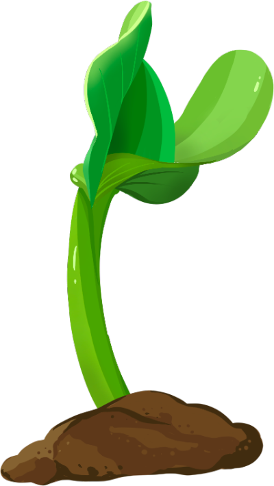 春天发芽破土而出