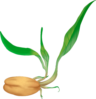 春天发芽绿色叶子