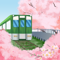 樱花季赏花/火车