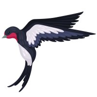 燕子