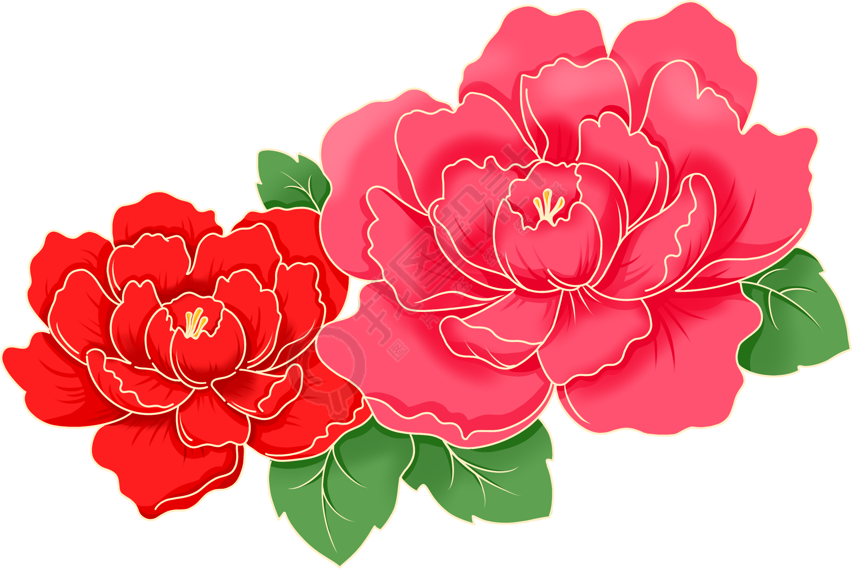 牡丹花手绘插画下载 植物手绘插画 设计素材 找图网