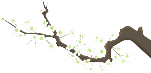 白色花枝