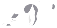 猫图片