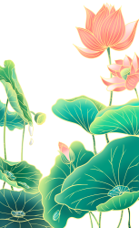 荷花图片