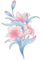 百合花图片