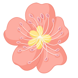 花朵图片