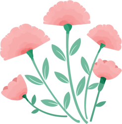 鲜花图片