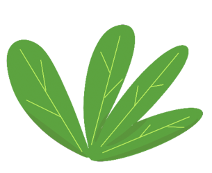 绿植图片