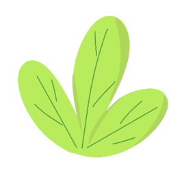 绿植图片