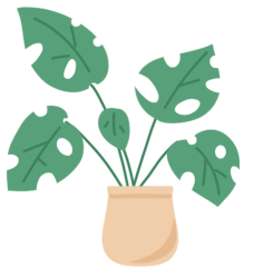 盆栽绿植图片