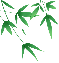 竹叶图片