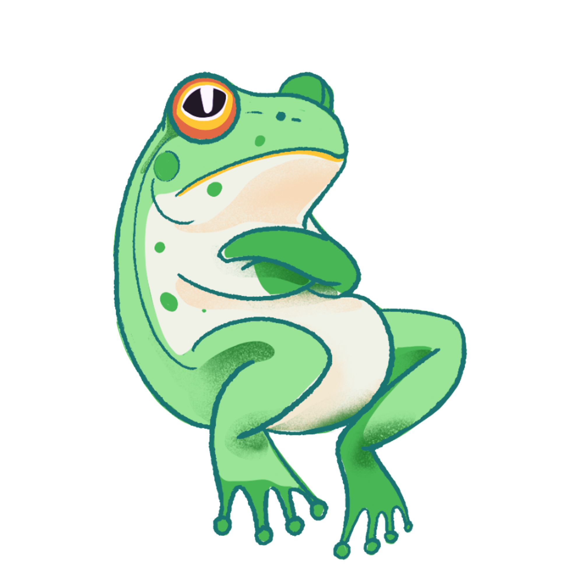 下载手机图片:搞笑, 动物, 青蛙, 图片，免费23071。