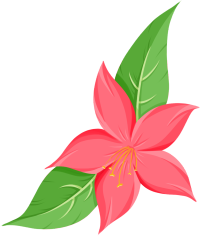 花朵图片