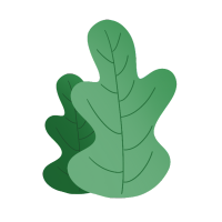 植物图片