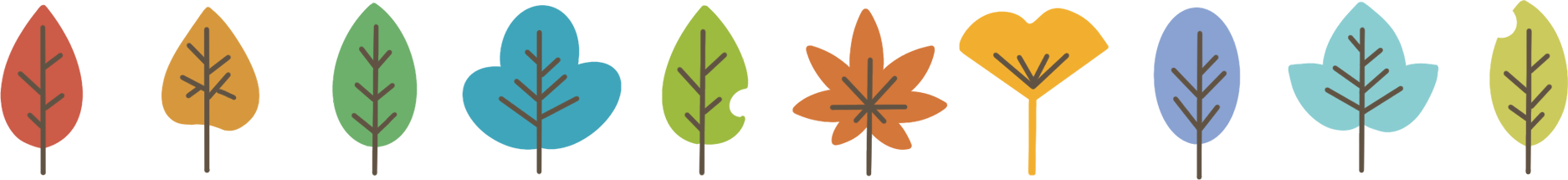 树叶分割线图片