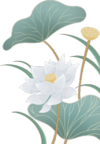 荷花荷叶图片