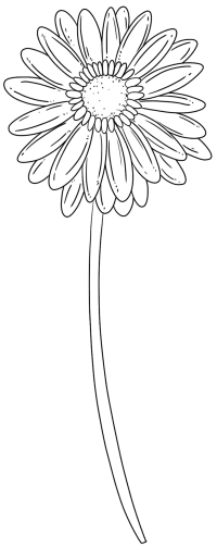 线描花3