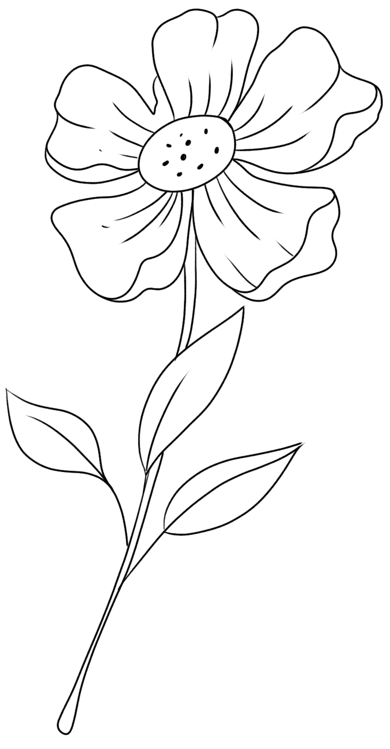 线描花7