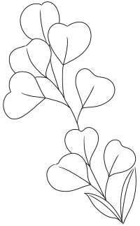 线描花8