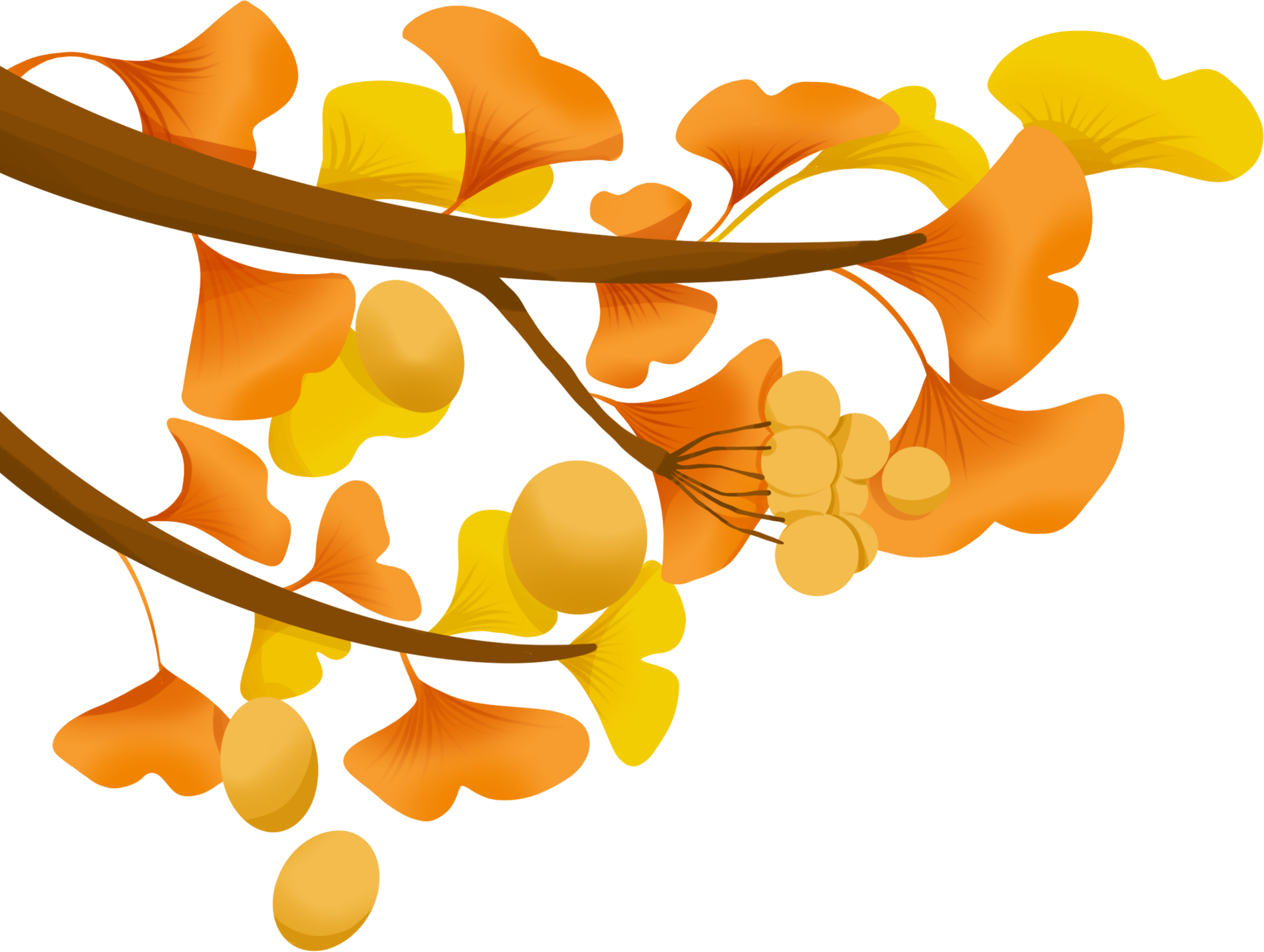 银杏叶插画手绘-比格设计