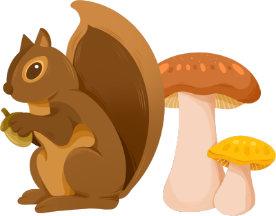 松鼠蘑菇图片