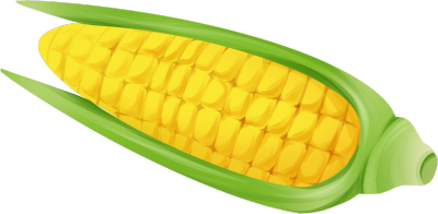 玉米图片