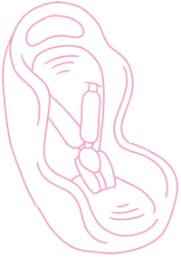 婴儿安全座椅