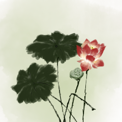 荷花水墨图片