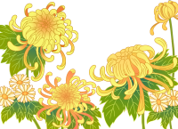 菊花
