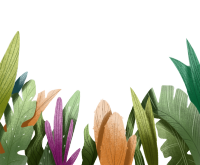 植物图片