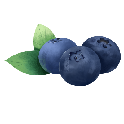 蓝莓照片