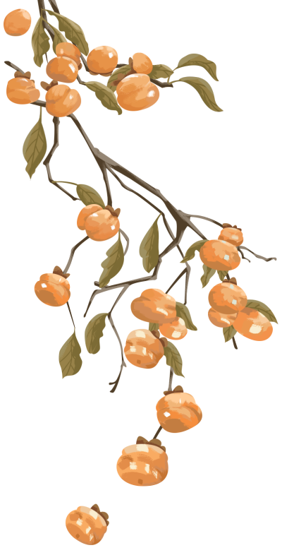 柿子水果秋季