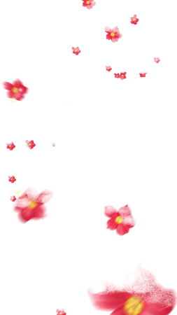 漂浮散落桃花图片