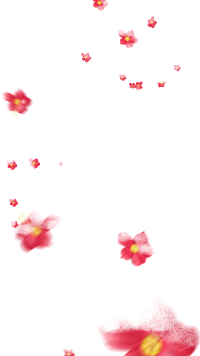 漂浮散落桃花图片
