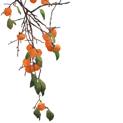 柿子树植物秋季果实