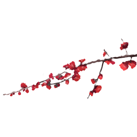 雪地梅花腊梅图片