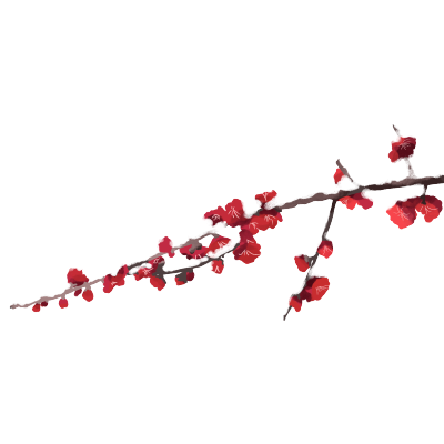 雪地梅花腊梅图片