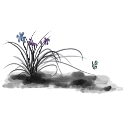 兰花水墨画兰花草图片