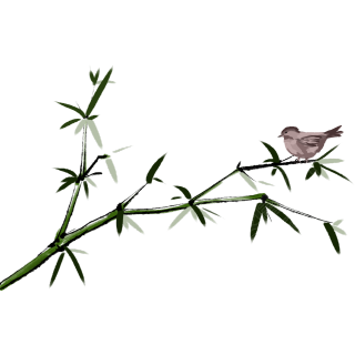 竹子麻雀植物图片
